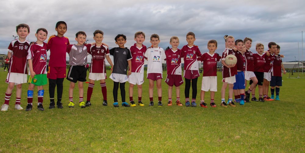 Hurling/Camogie Practice