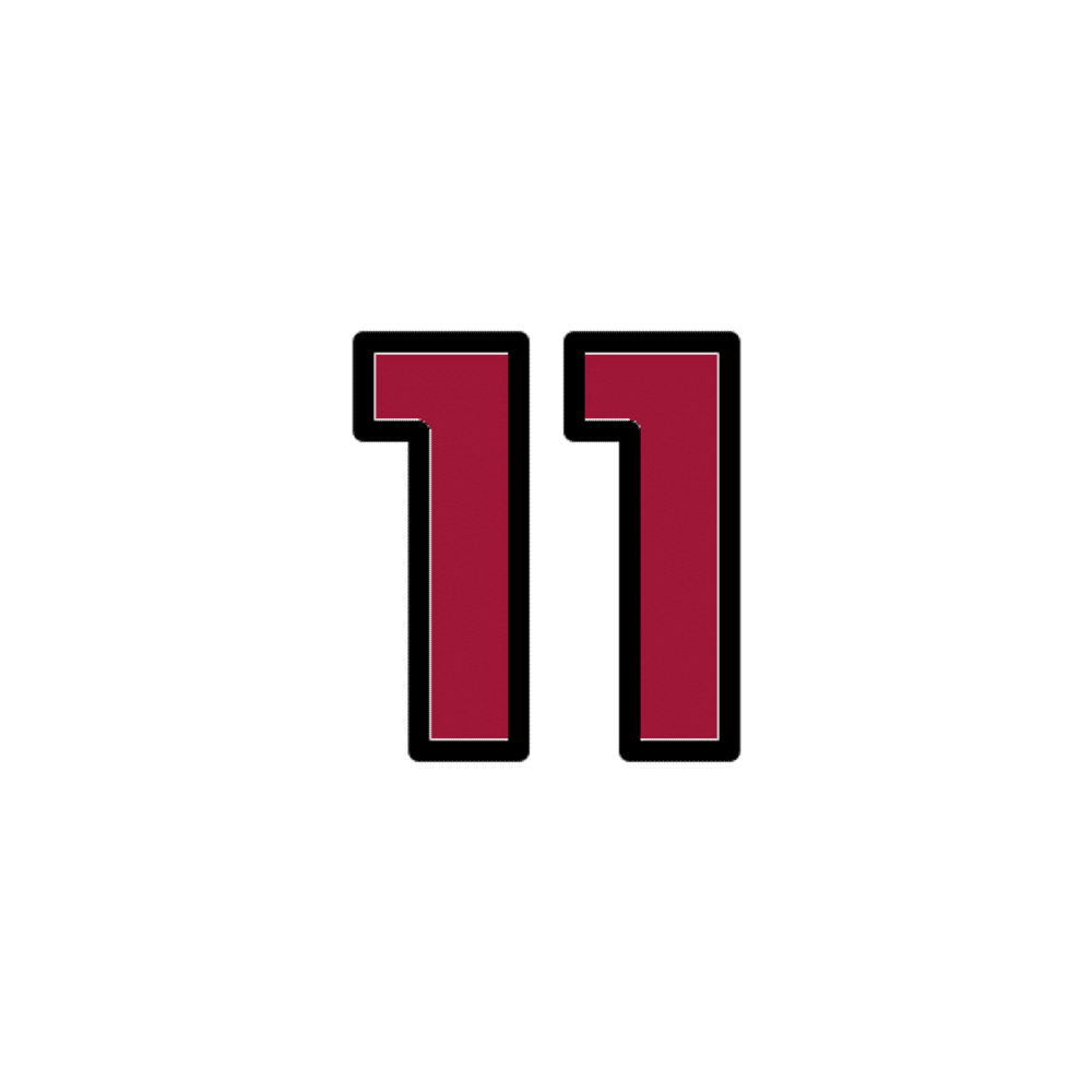 Hurling/Camogie Practice