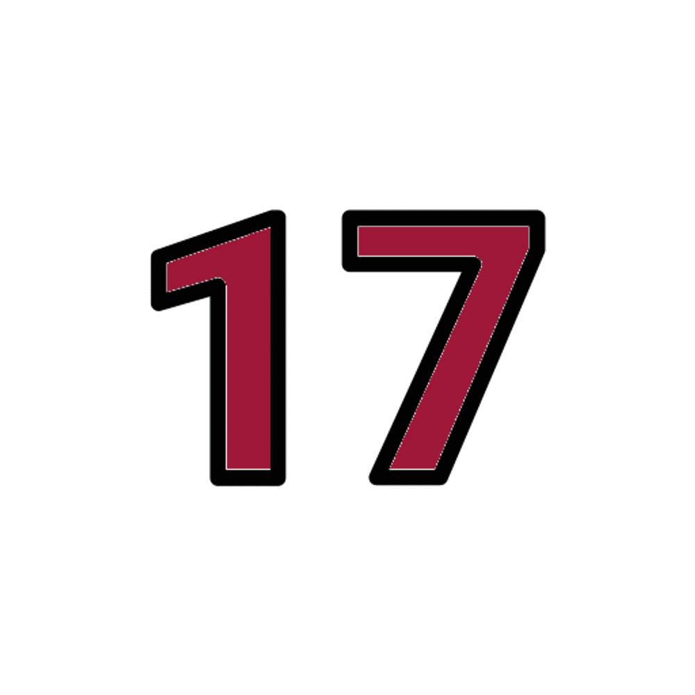 Hurling/Camogie Practice